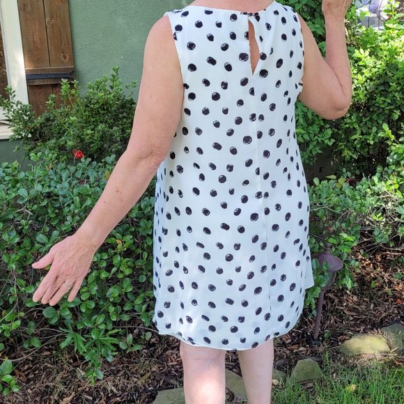 SLNY SL Fashions New York, Size 16, Black and White Polka dot, knee length - Picture 2 of 2